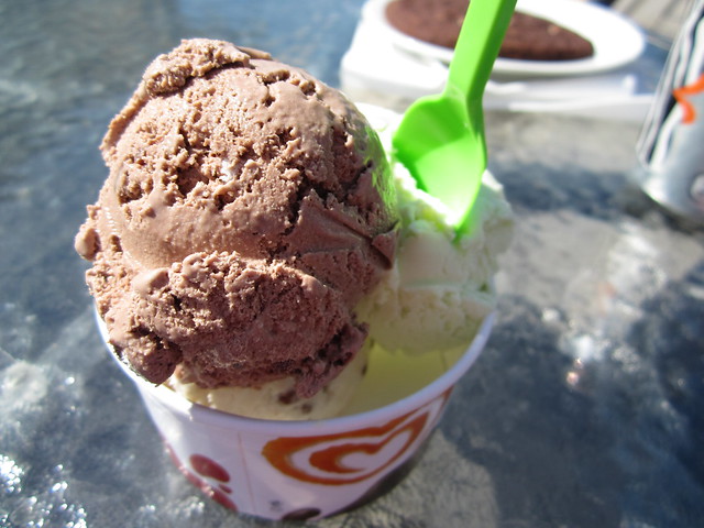 I scream you scream we all scream for ice cream spring 2012 (Photo copyright H. Andersson) 