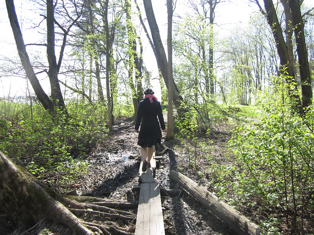 iHanna in the forest spring 2012 (Photo copyright H. Andersson) 