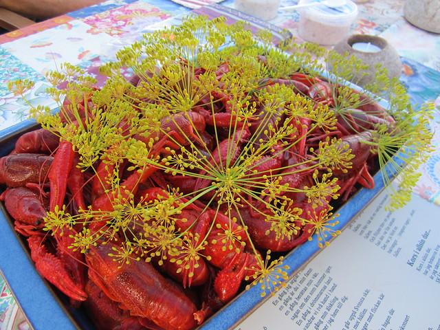 Playing around with Food photography Kinesiska kräftor på kräftskiva / crayfish in Sweden (Photo copyright H. Andersson) 2012