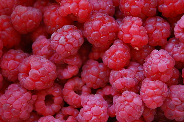Yummy raspberries from the garden (Copyright Hanna Andersson)
