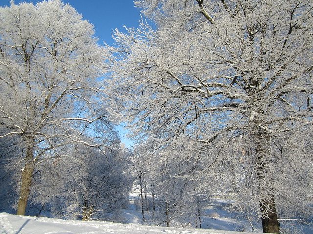 The moment to snap a photo is now today - Photographing a magic day of sunshine and snow in winter wonderland Sweden, photo by iHanna (Photo copyright Hanna Andersson)