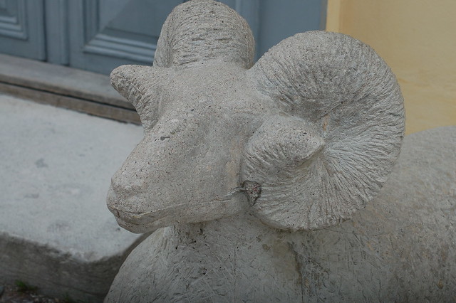 Stone ram in Visby Gotland Sweden (Photo copyright Hanna Andersson)