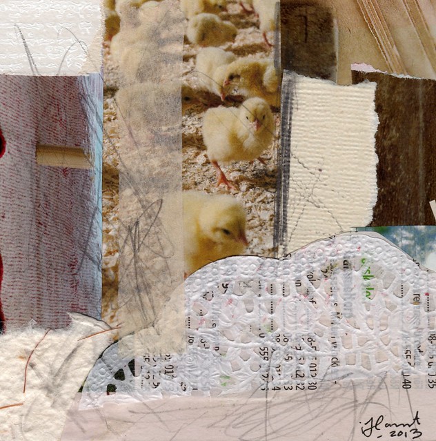 Collage: Chicken Scratch created by iHanna 2013 (Copyright Hanna Andersson)
