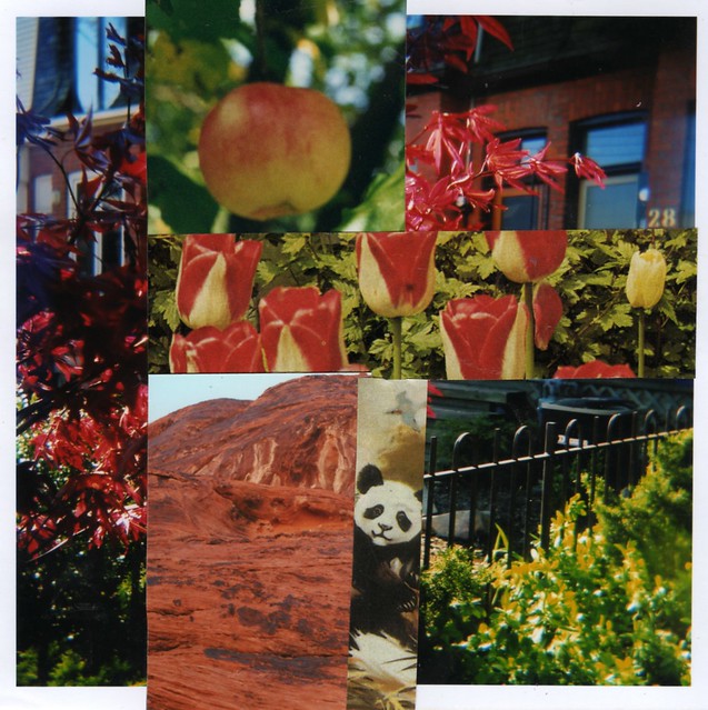 Collage: Homeless by iHanna in the series 365 in 2013 (Copyright Hanna Andersson)