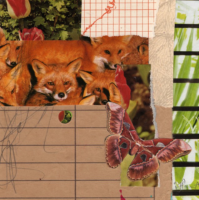 Collage: Crowded at Home by iHanna in the series 365 in 2013 (Copyright Hanna Andersson)