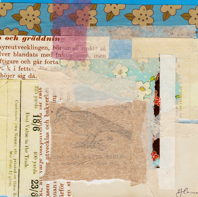 Collage: Another Shy Friend by iHanna (Copyright H. Andersson) 2013