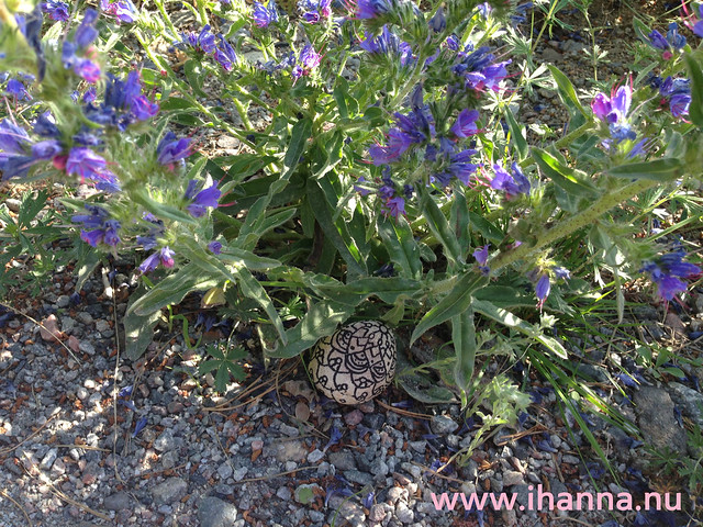 Released into the wild - doodles on stones by iHanna (Copyright Hanna Andersson)