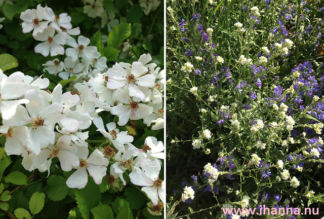 Hiding under the flowers are doodles on stones created by artist iHanna (Copyright Hanna Andersson)