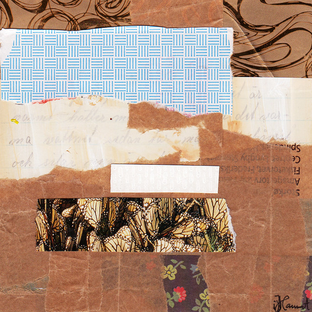 Collage: Separated from the Flock by iHanna (Copyright H. Andersson) 2013