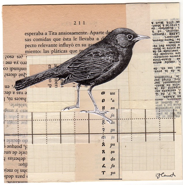 Collage: Tita Aparte made by iHanna 2013 (Copyright H. Andersson)