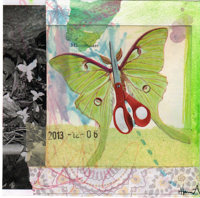 Collage: ButterScissFly by iHanna (Copyright Hanna Andersson of www.ihanna.nu)