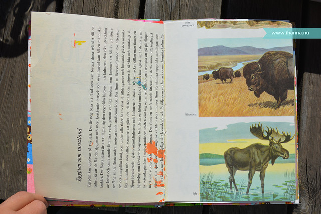 Art Journal Elk Page Before ephemera, writing and stickers were added in Art Journaling (Photo copyright H. Andersson)