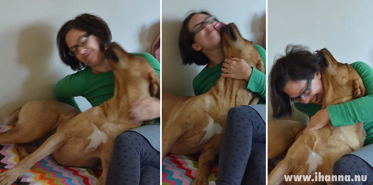 Big kisses Giza on my bed (Photo copyright Hanna Andersson)