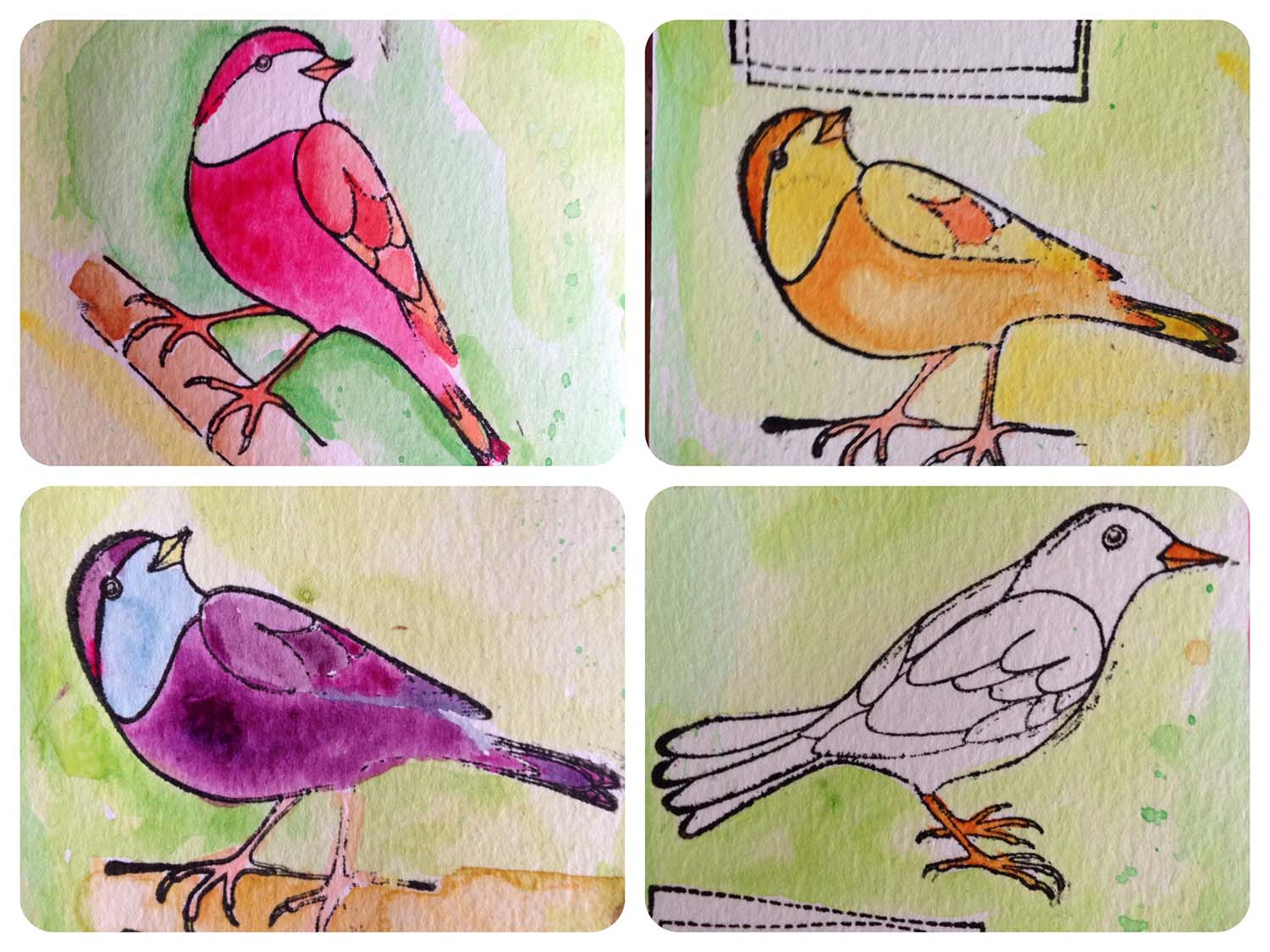 Birds - same but different (Copyright Hanna Andersson)
