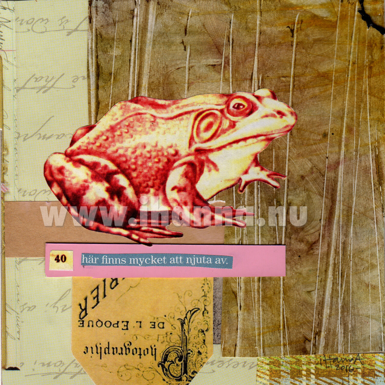 Frog collage 5 made by iHanna (Copyright Hanna Andersson)