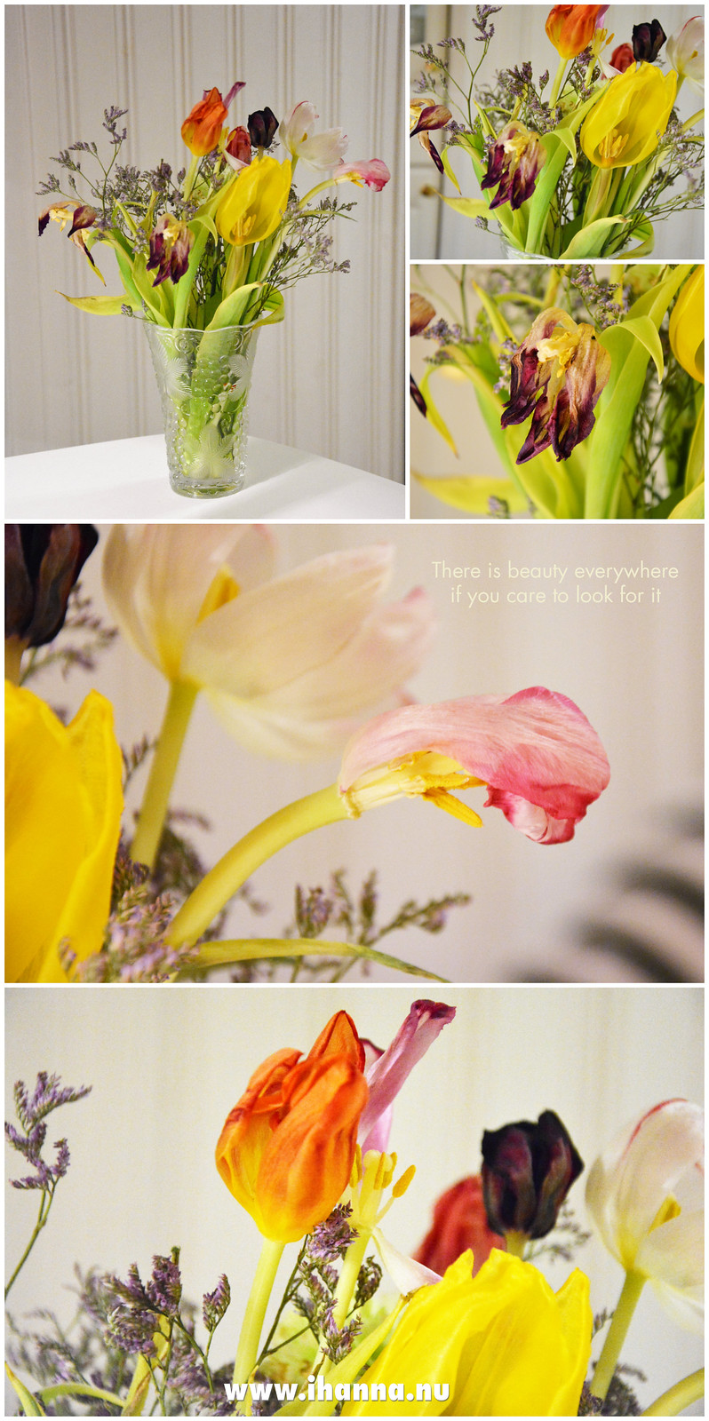 I think they are just as beautiful - the wittered tulips documented by iHanna  (Photo copyright H. Andersson)