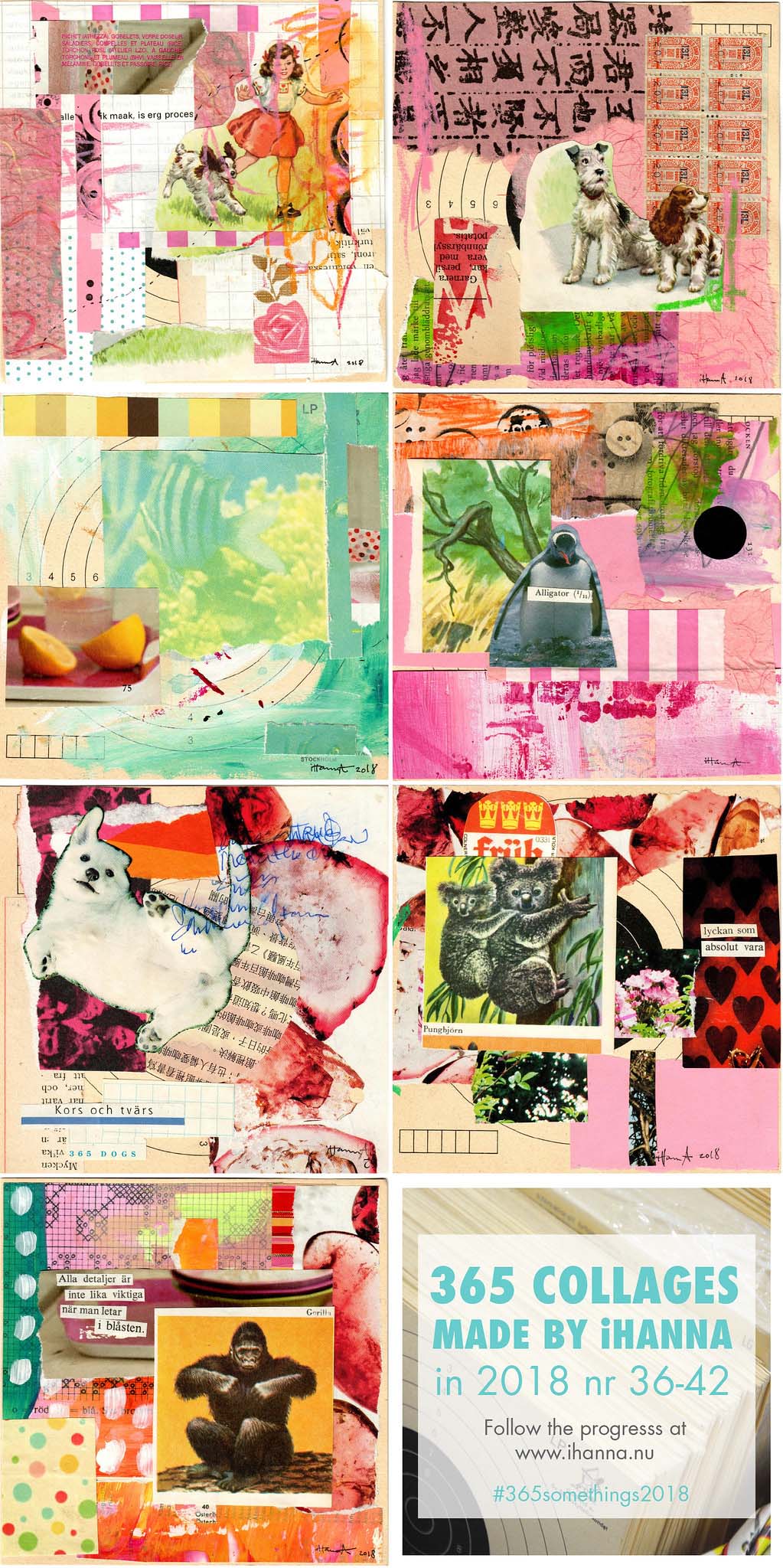 iHannas 365 Collages in 2018, week 6 themed Animal Friends - by iHanna #365somethings2018 #collage