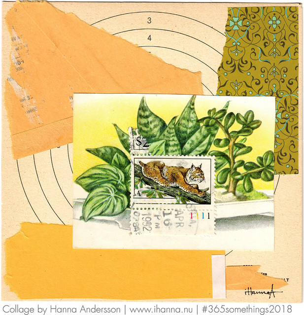 Rare Lynx plant - Collage nr 55 made by iHanna #365somethings2018