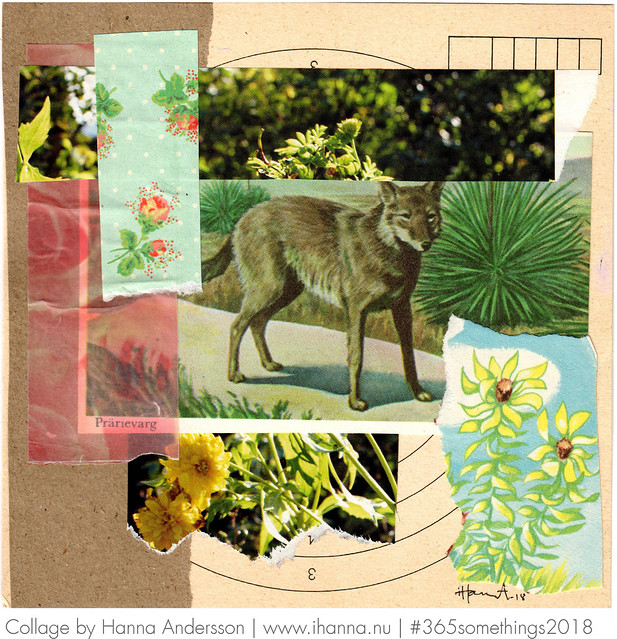 76 Coy Coyote - Collage by iHanna (Copyright Hanna Andersson)