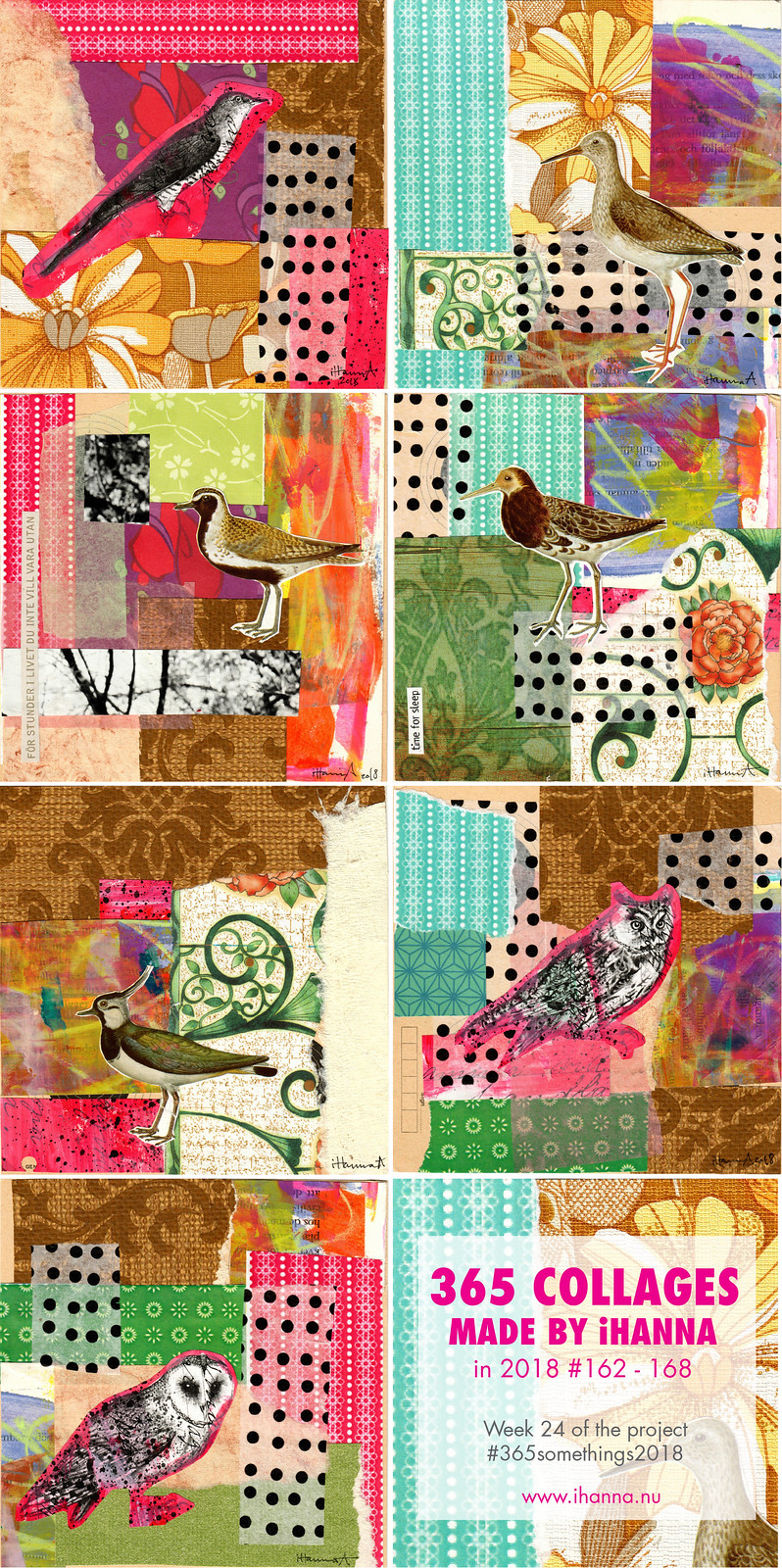 Pin it iHanna's 365 collages Week 24 2018 #365somethings2018