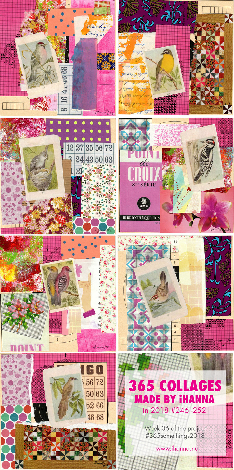 Pin this image to collage iHanna's 365 Collages Week 36 in 2018 blog post series part the birds are Back in Town