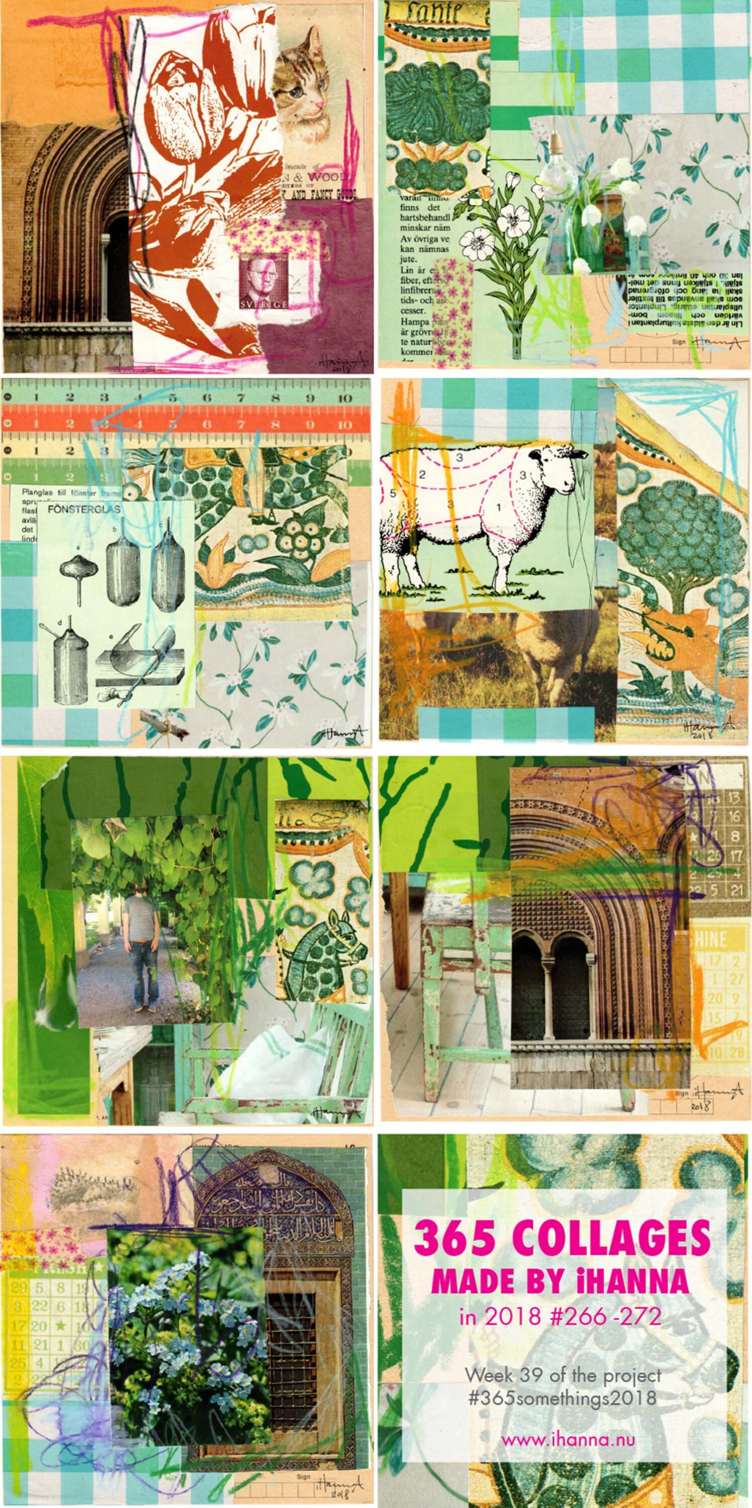 iHanna's 365 Collages 2018 - Week 39