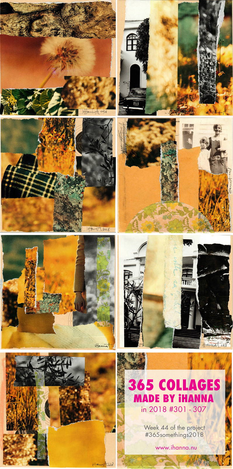 iHannas 365 Collages in 2018 - Week 44 #365somethings2018