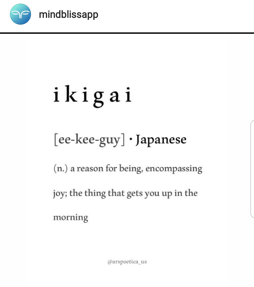 ikigai - Japanese for a reason for being, encompassing joy, the thing that gets you up in the morning