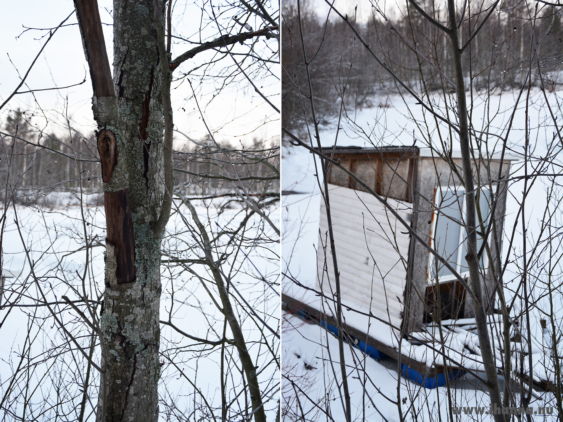 A winter walk in Sweden 2019 Photo Copyright Hanna Andersson