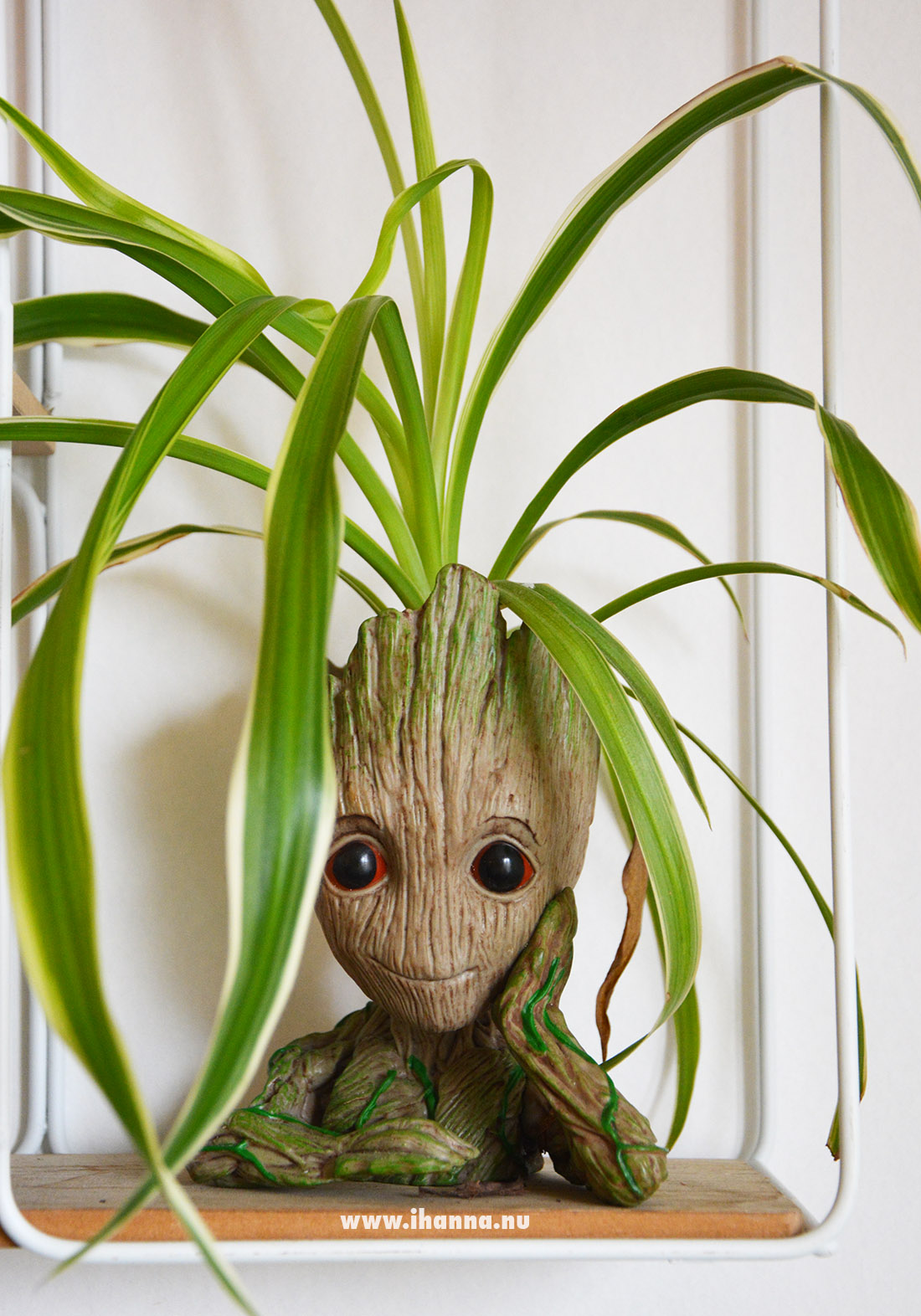 Groot planter in iHannas home #greenery Photo Copyright Hanna Andersson