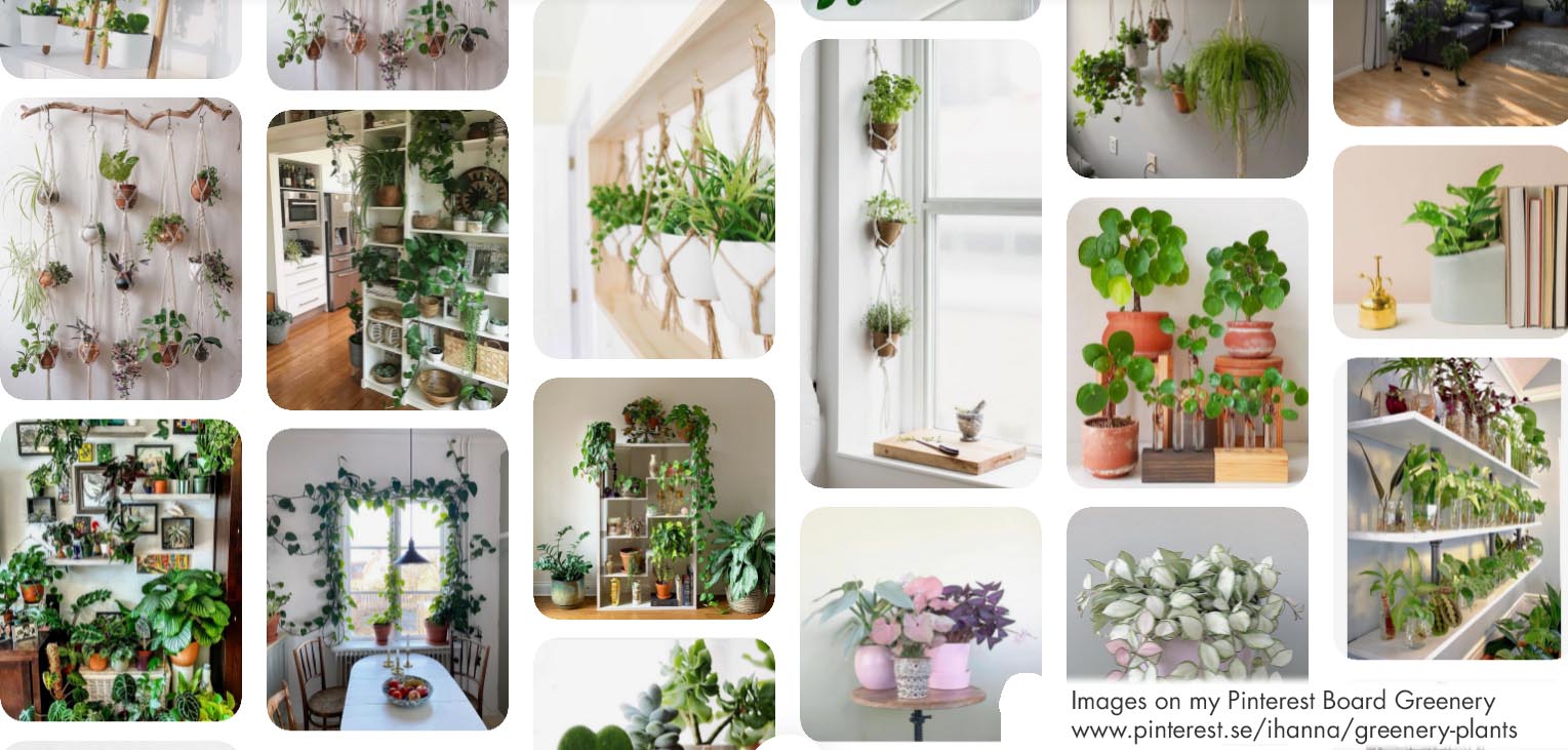 Greenery & Plants Pinterest board by iHanna