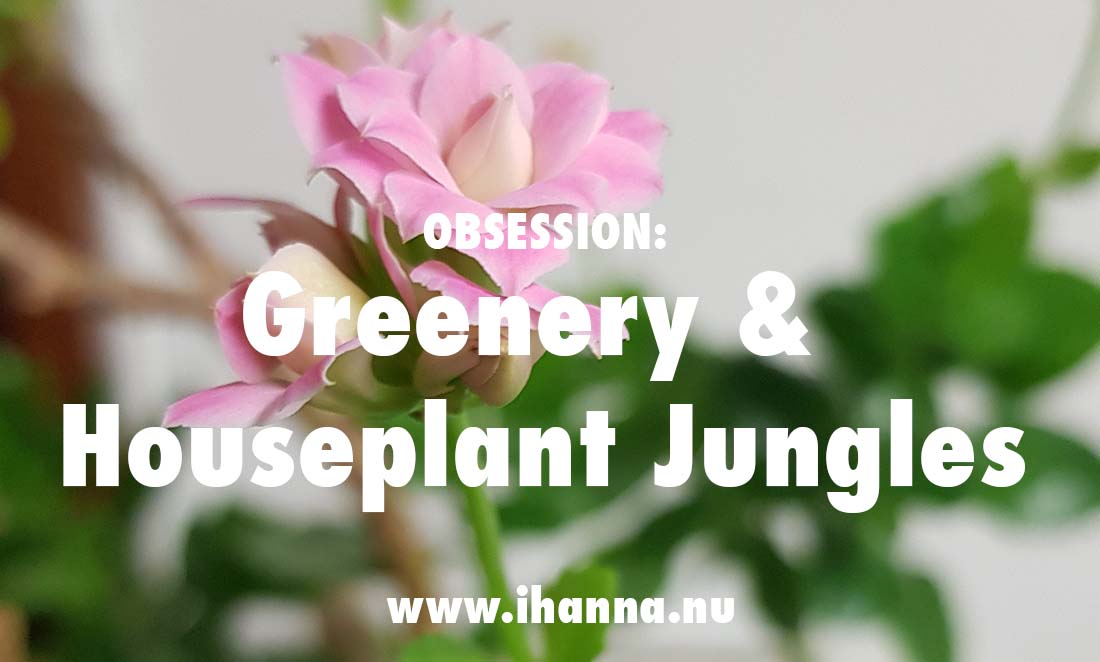 Obsession: Greenery & Houseplant Jungles on YouTube and Pinterest