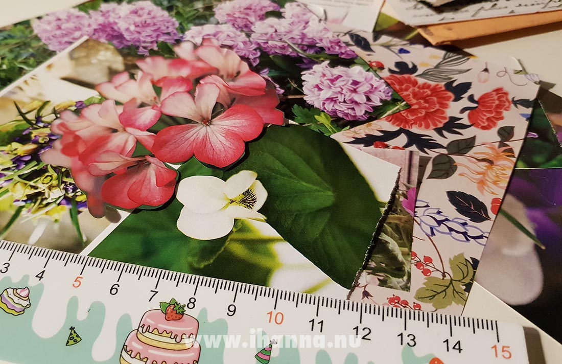 Flower images in a glue book by iHanna