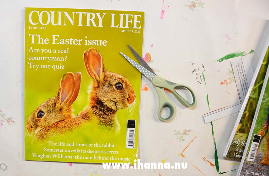 Country Life a UK magazine 