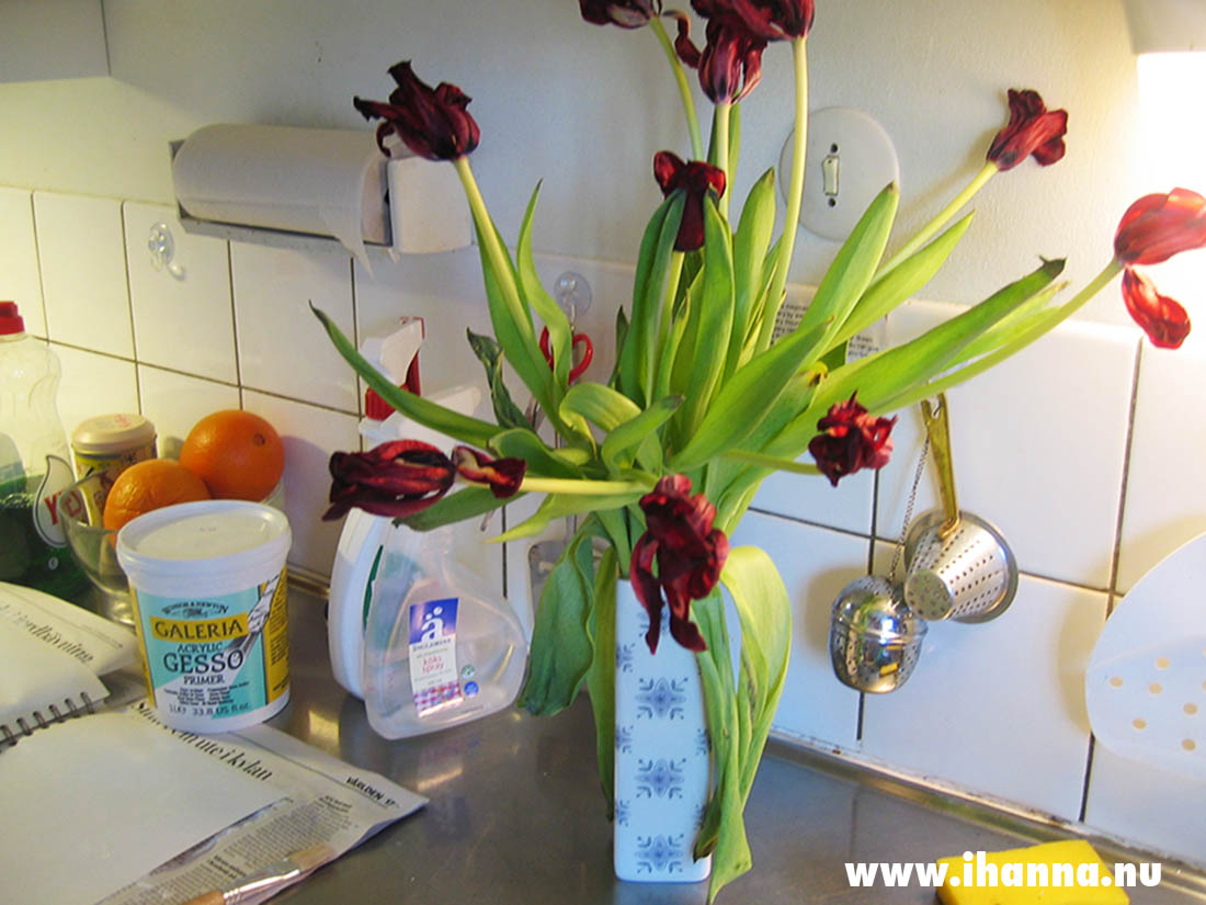 Kitchen sink photography 2005, all rights reserved photo copyright Hanna Andersson