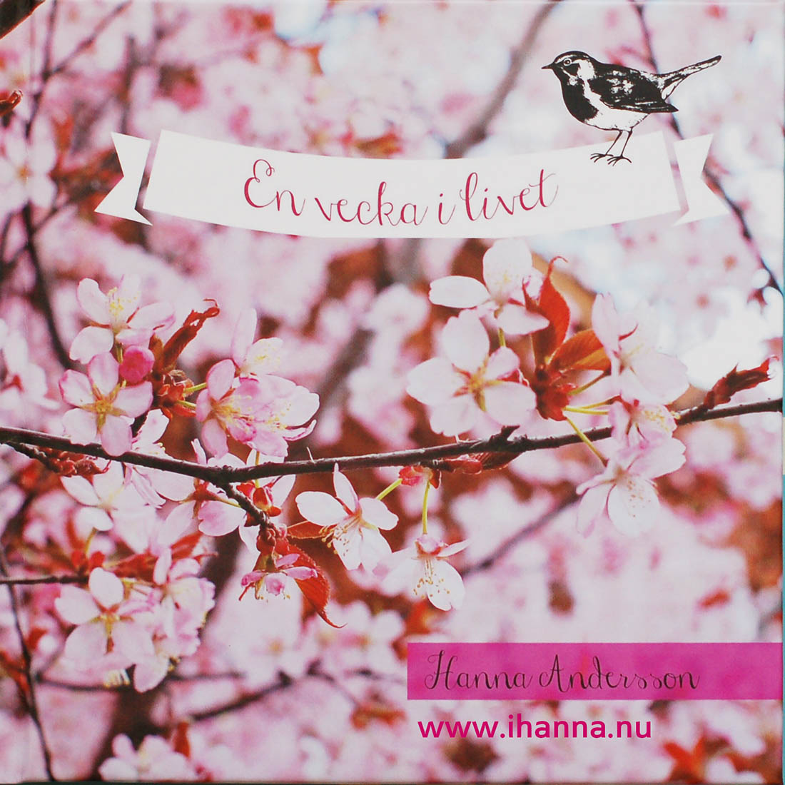 En vecka i livet av Hanna Andersson, en WITL photo book Week in the Life Blurb book