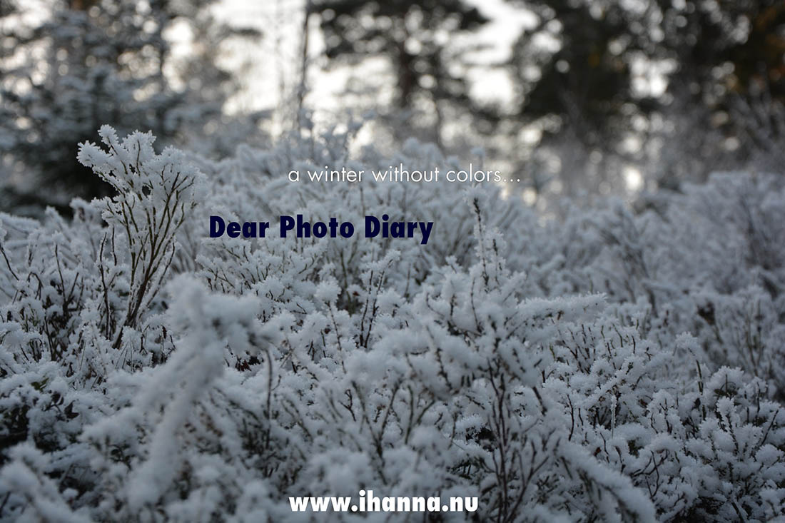 Dear Photo Diary, a winter without very much color 2018. Photo Copyright Hanna Andersson.