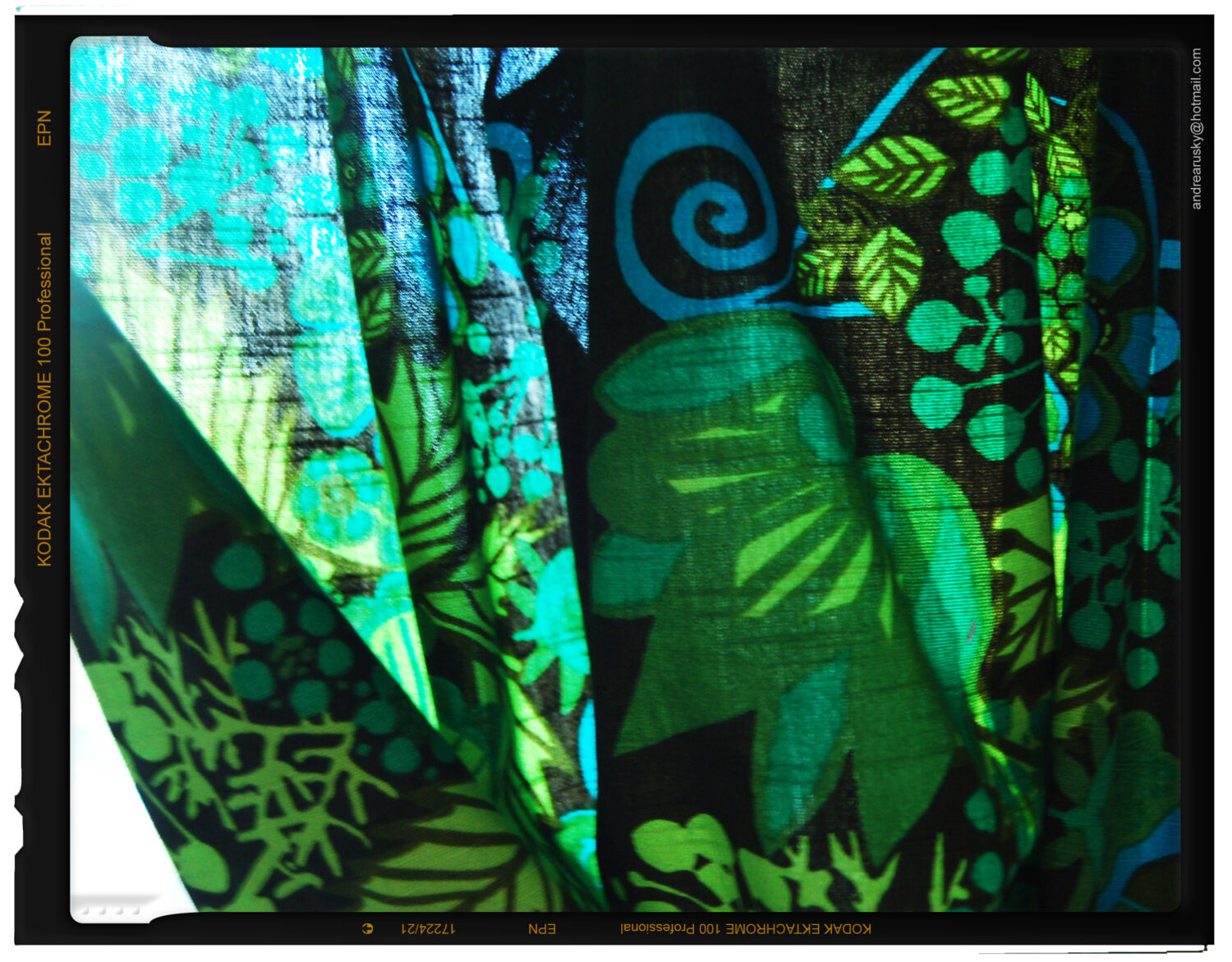 Shimmering green curtain (Copyright Hanna Andersson)