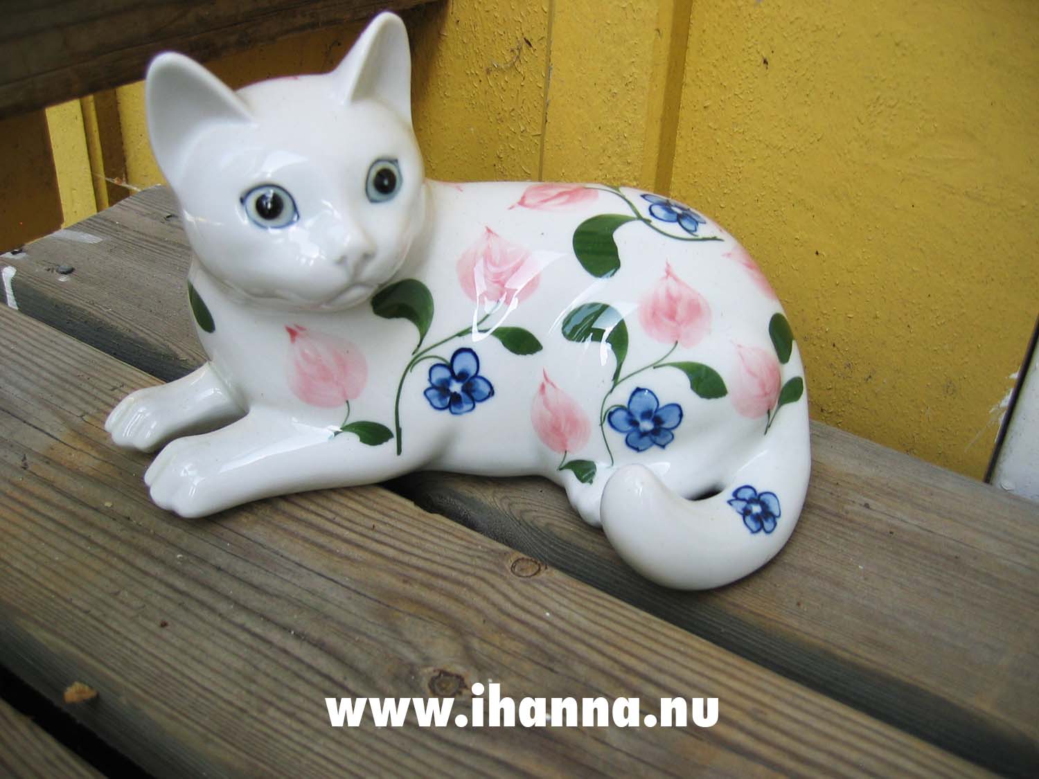Outdoor cat (Photo Copyright Hanna Andersson)