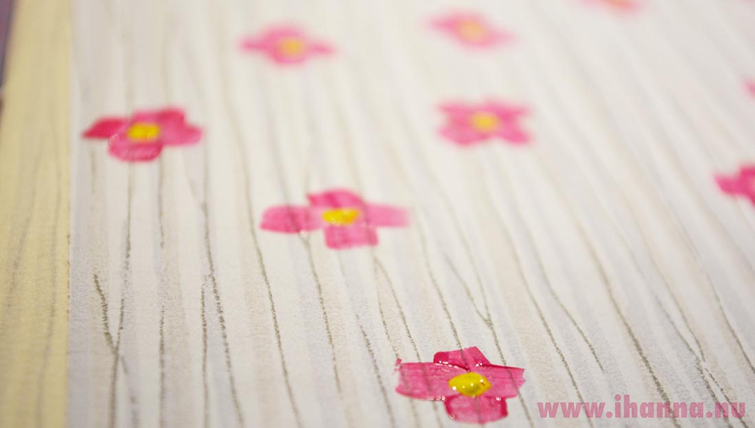 Close up of Pink DaisyYellow flowers