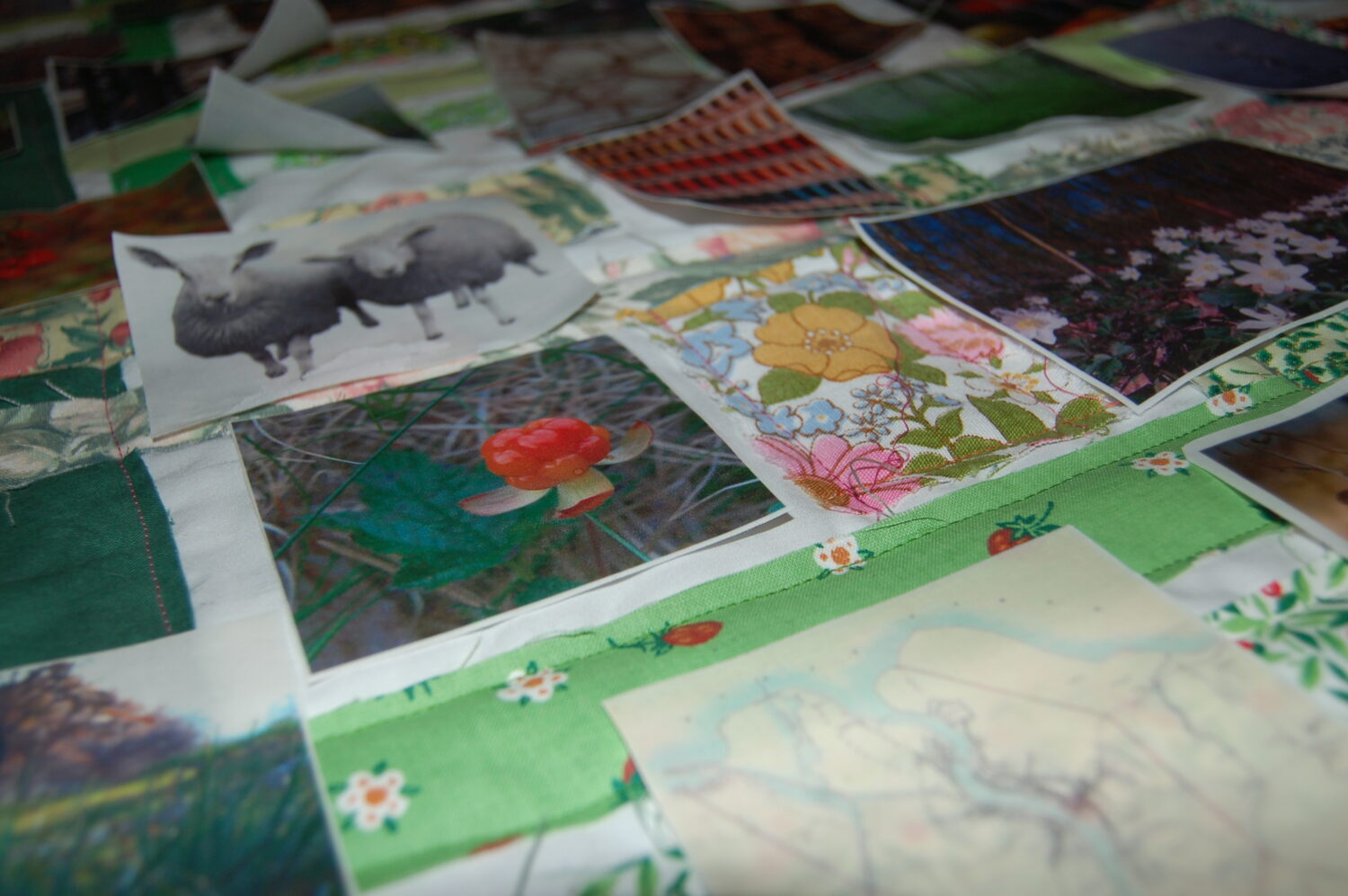 Placing the images on fabric for the Photo Quilt of Inspiration (Photo Copyright Hanna Andersson, Studio iHanna)