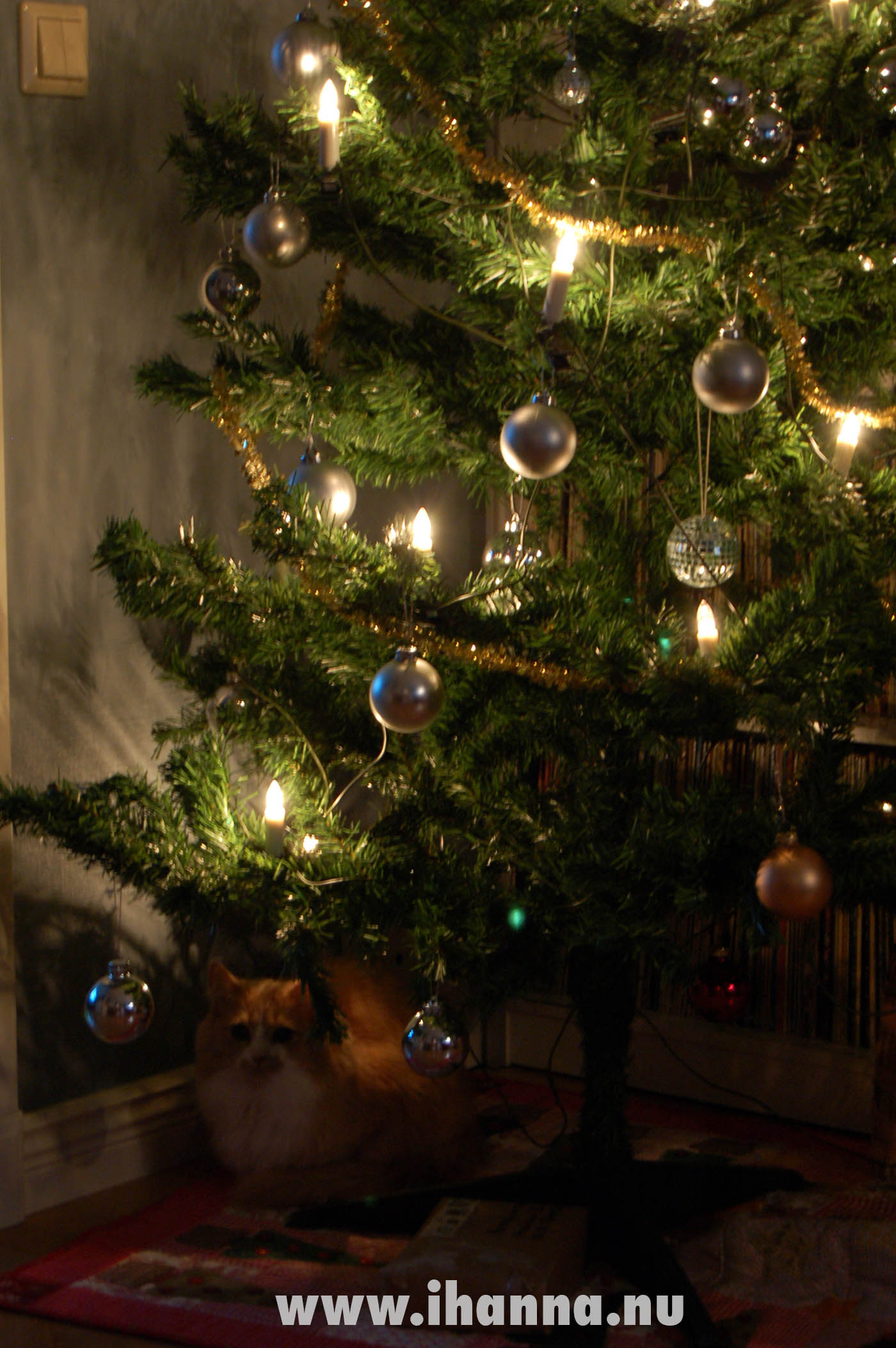 Smilla under the Christmas tree 2007