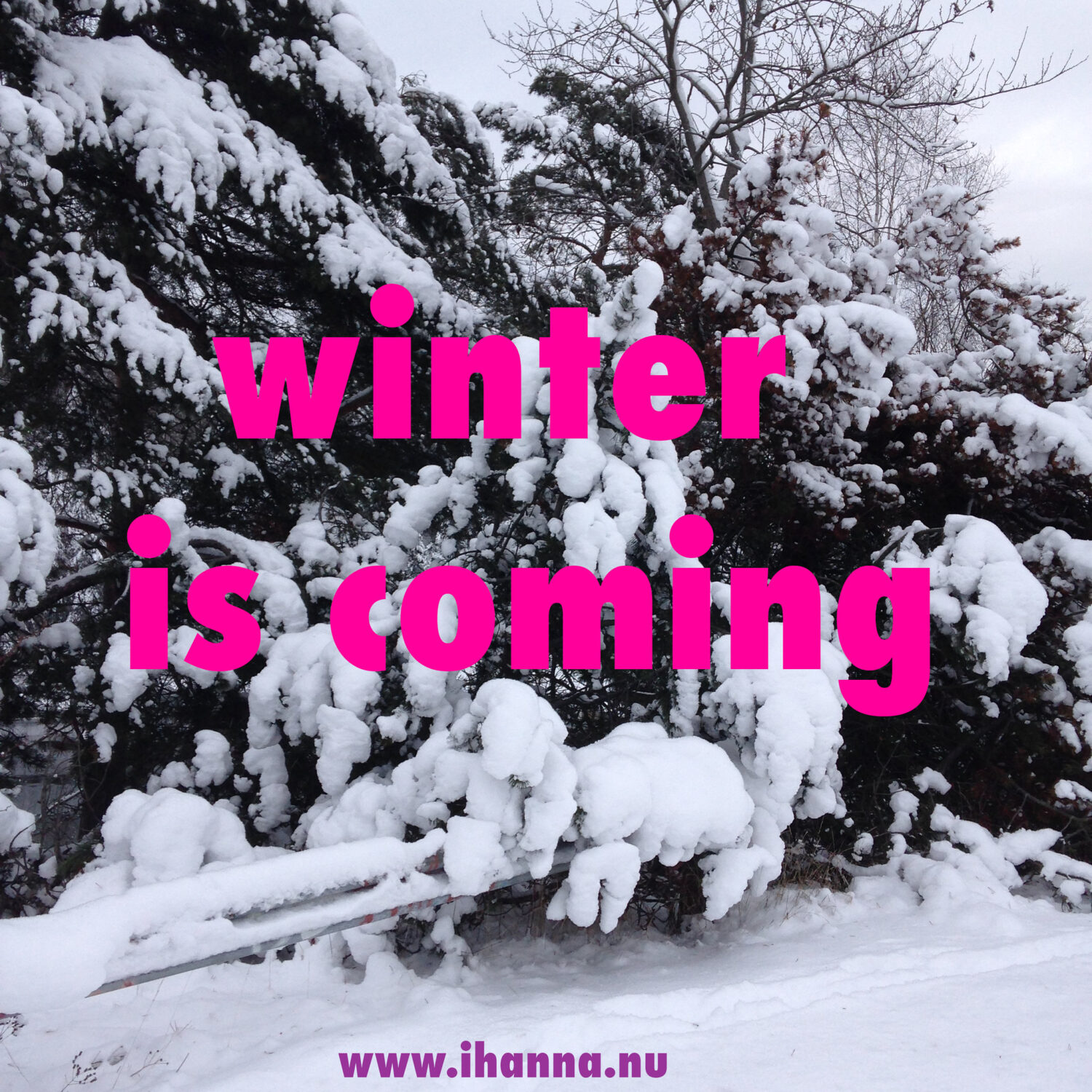 Winter is coming, or in Sweden it's here already - photo copyright Hanna Andersson, January 2017