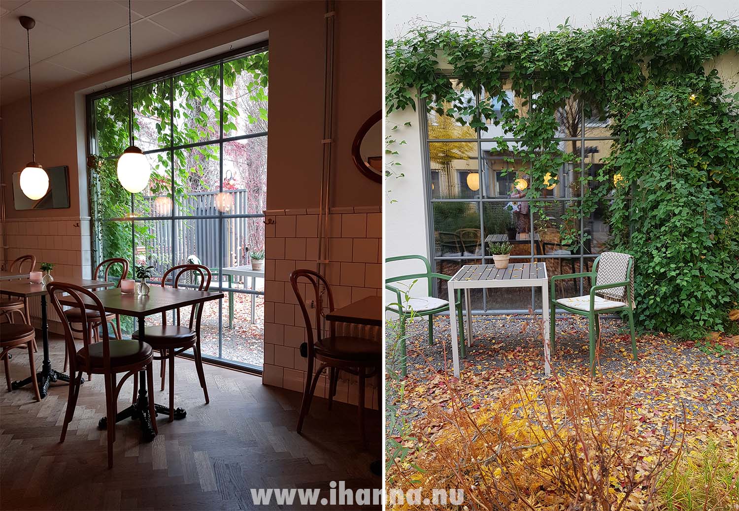Green foliage curtains seen at Fotografens Cafe och Bistro (Photo Copyright Hanna Anderson)
