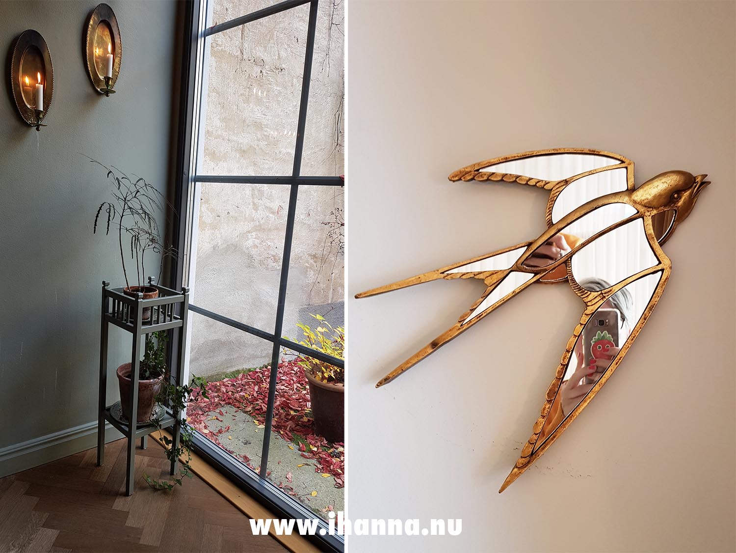 Swallow and plant stand at Fotografens Cafe och Bistro (Photo Copyright Hanna Anderson)