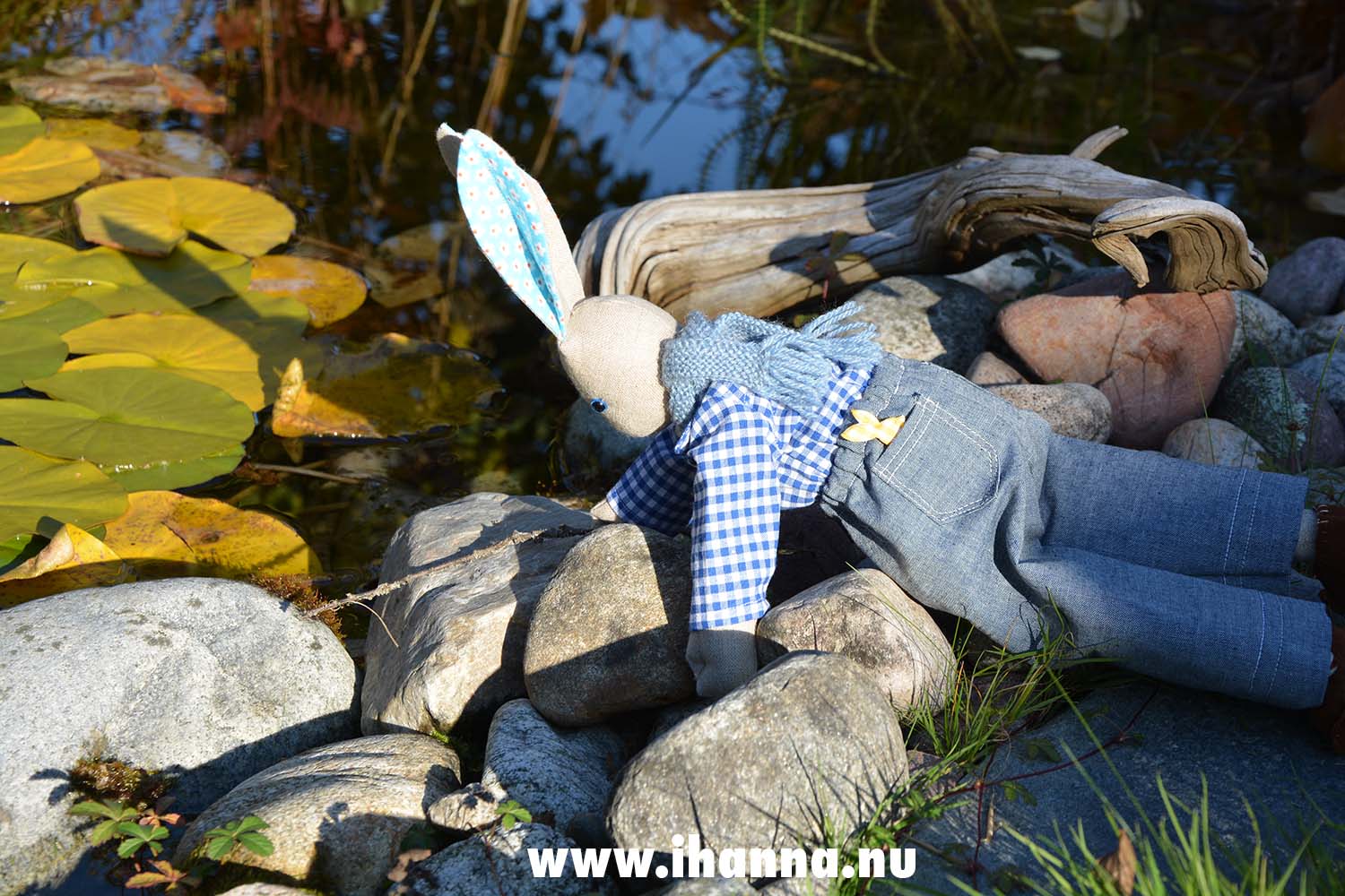 Mr Lapin in the garden wearing jeans and a blue gingham shirt (Photo copyright Hanna Andersson)