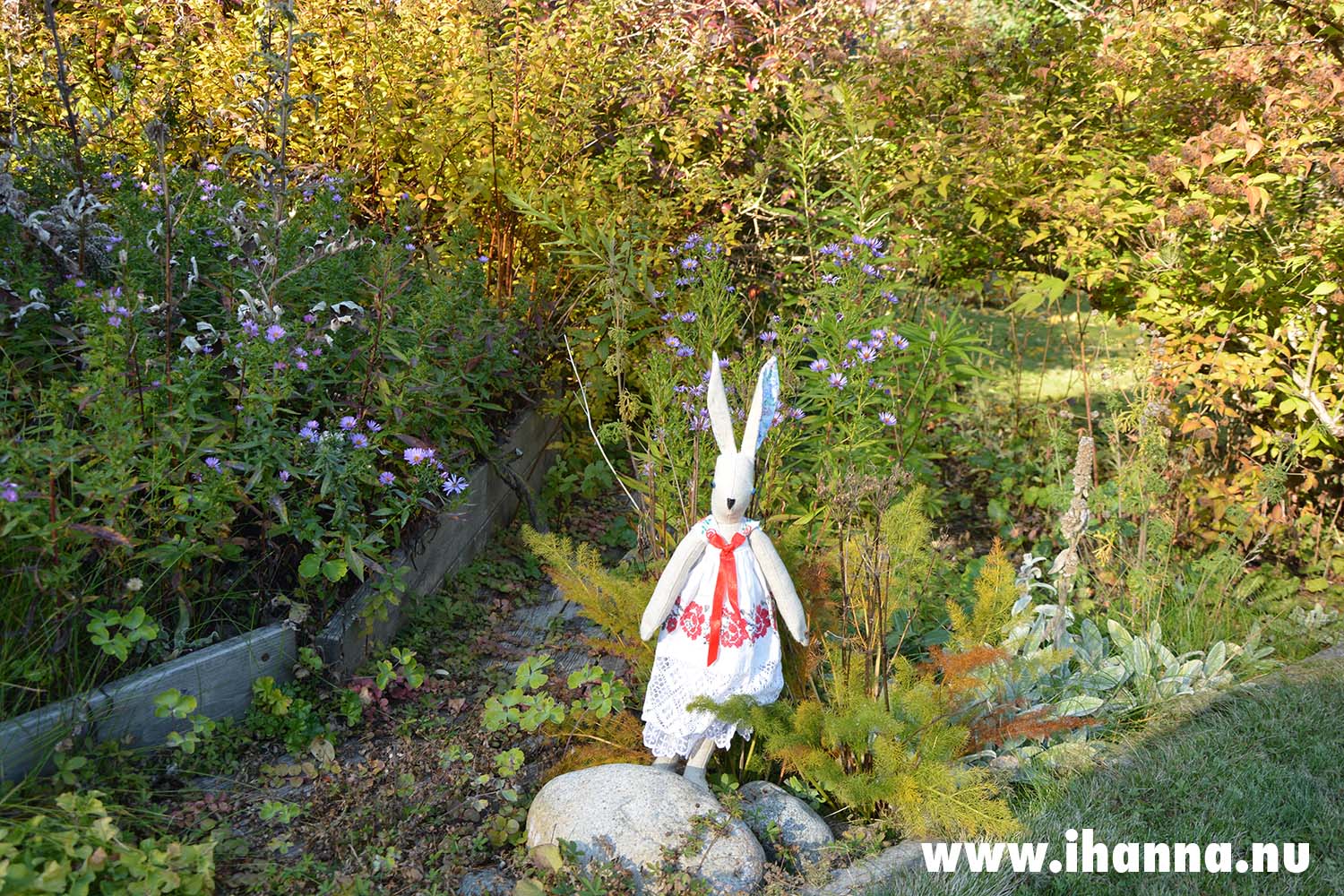 Luna Lapin in the garden (Photo copyright Hanna Andersson)