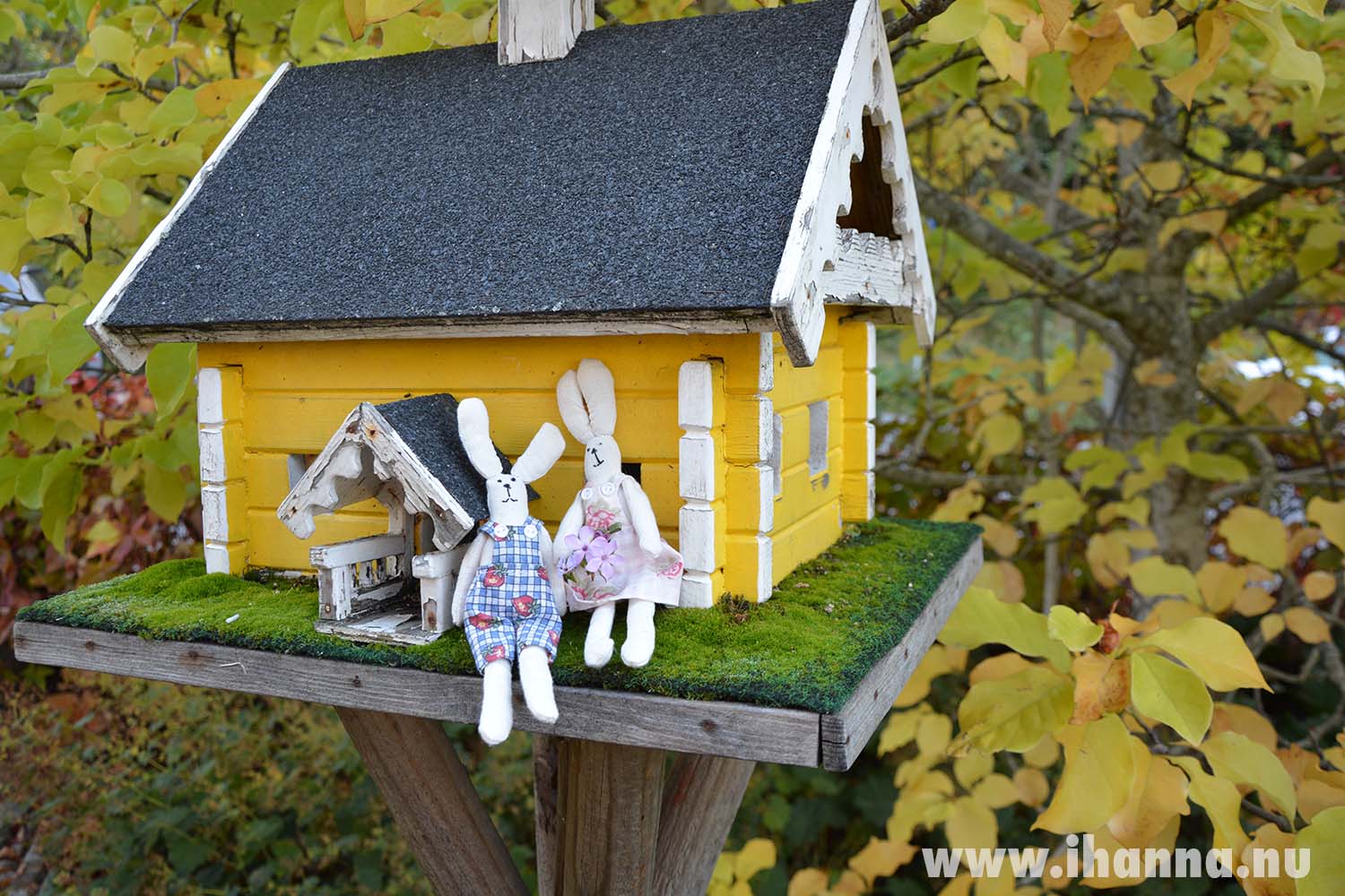 Little bunnies in front of the yellow bird house (Photo copyright Hanna Andersson)