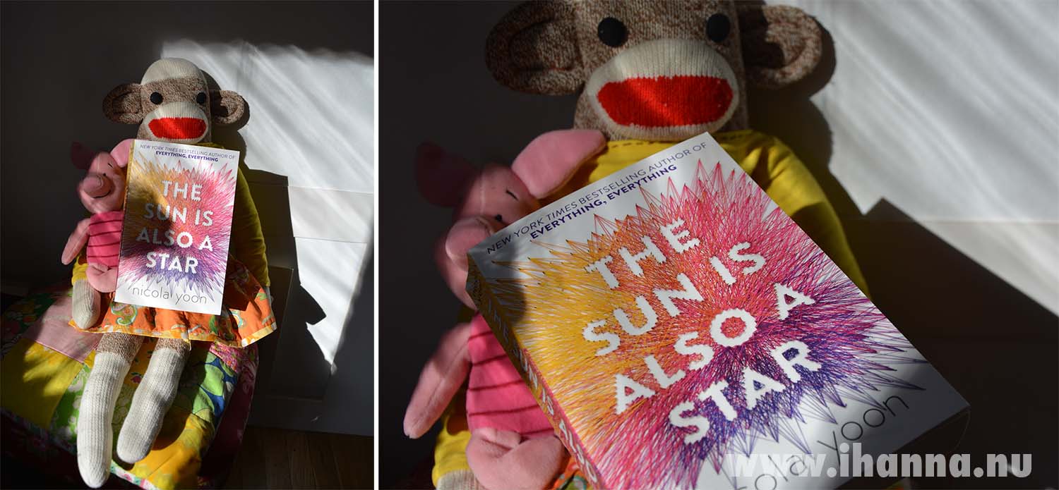 Sock monkey with book, sitting in the first rays of sun reaching in - Photo Copyright Hanna Andersson