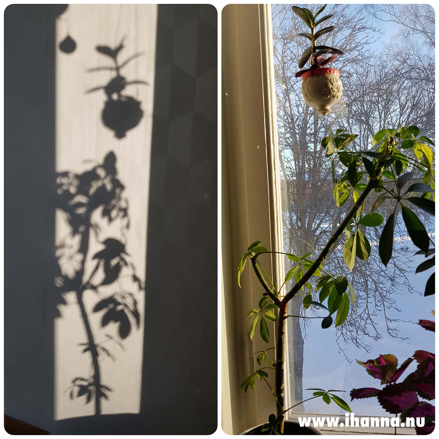 Shadow and the window view that caused it (Photo copyright Hanna Andersson)